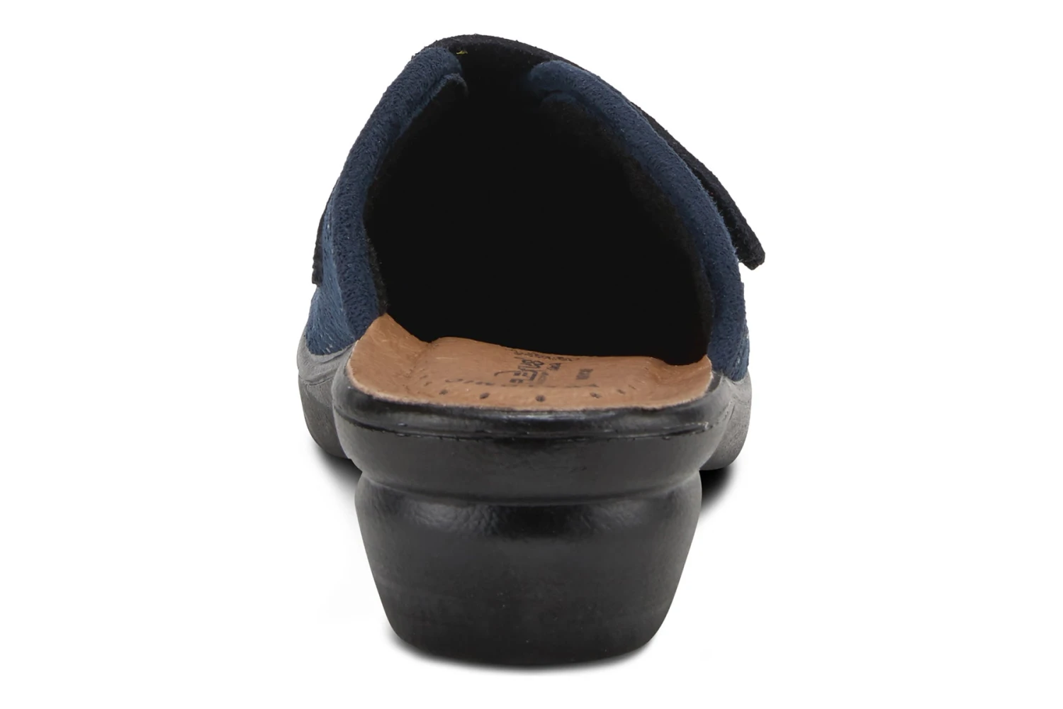 Merula 4 Merula - Image 4