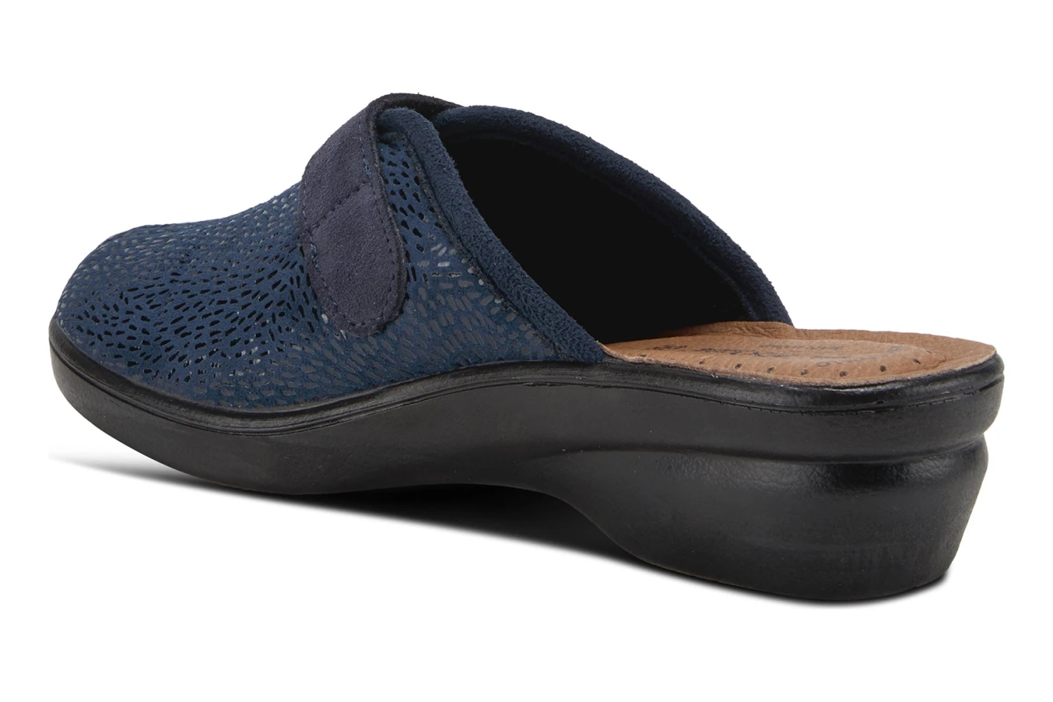 Merula 7 Merula - Image 7