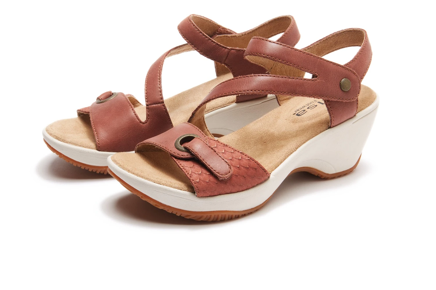 Clara 5 Clara - Image 5