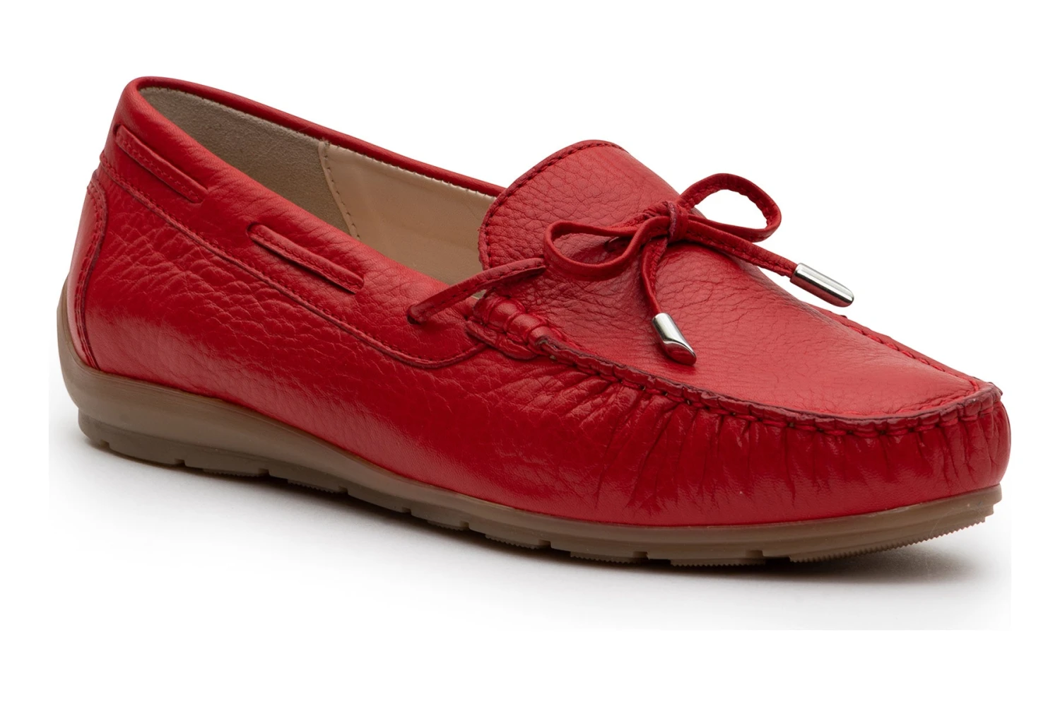 Ara Amarillo 1 Ara Amarillo