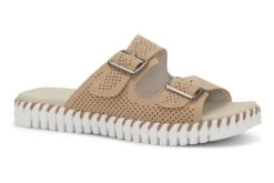 ILSE JACOBSEN Tulip1176lc