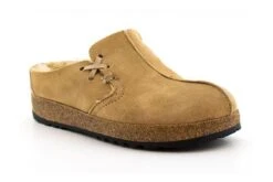 Haflinger Saskatchewan