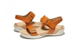 Dominica -Classic Shoe Corner SEH02526 21 1