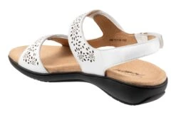 Romi -Classic Shoe Corner T2118 100 back34