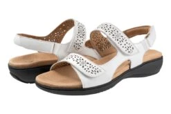 Romi -Classic Shoe Corner T2118 100 pair