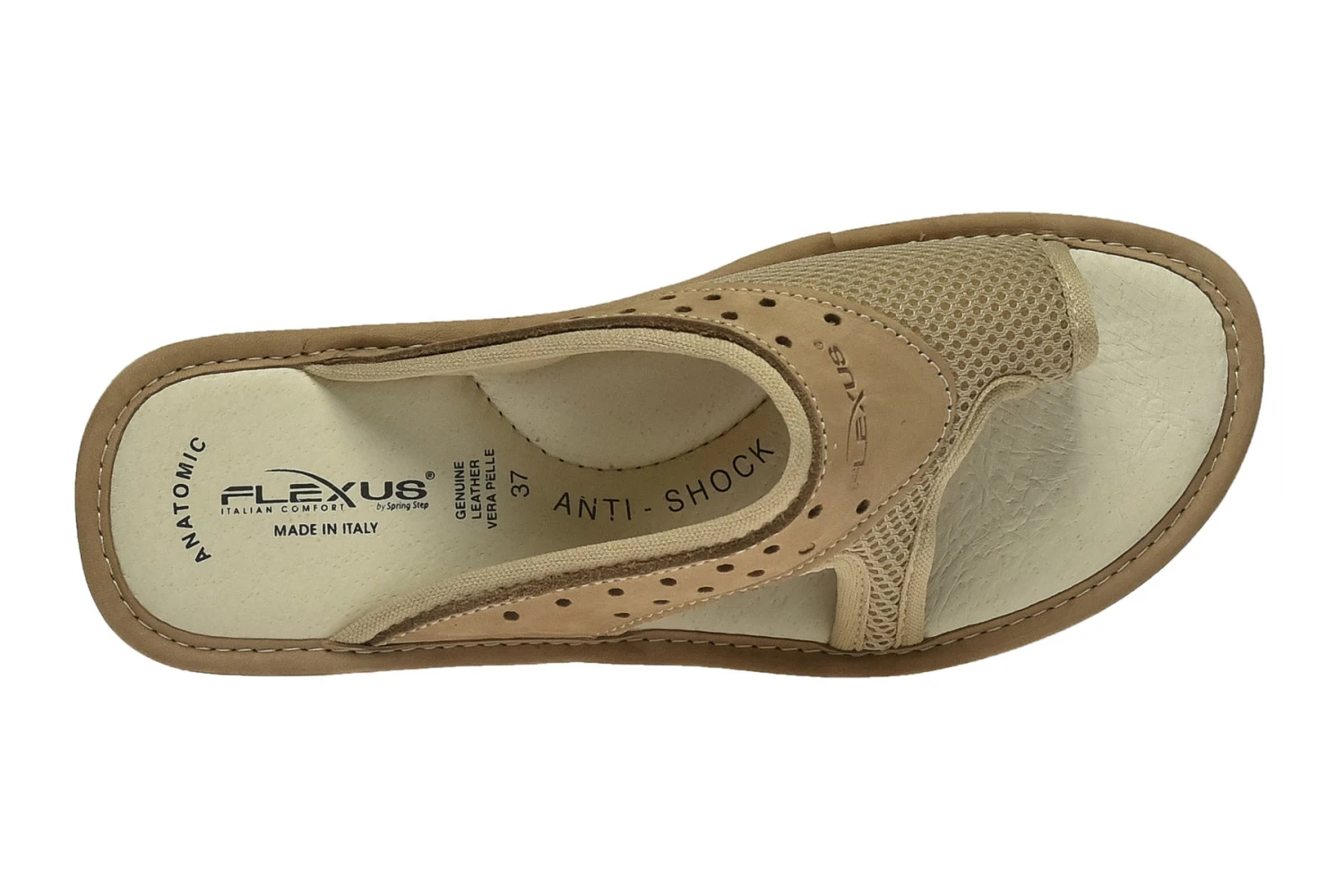 Pascalle 2 Pascalle - Image 2