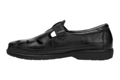 Ladybug -Classic Shoe Corner Zoom 63f2c093 932c 4ba7 a540 430aff8ff53a